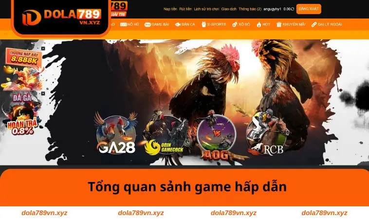Đá Gà DOLA789 1 Tổng quan sảnh game hấp dẫn